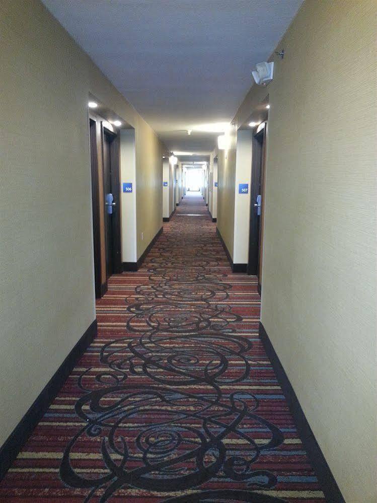 Holiday Inn Express Fredericksburg - Southpoint By Ihg Zewnętrze zdjęcie